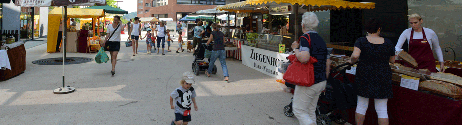 Regionale Abstimmung forcieren